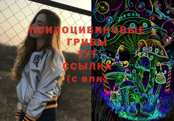 первитин Алексин