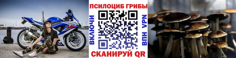 Галлюциногенные грибы мухоморы  купить  цена  Раменское 